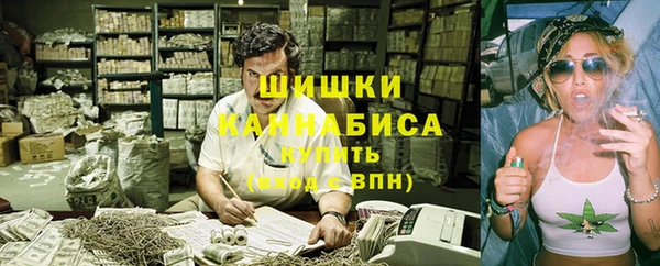 прущие грибы Бугульма