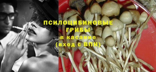 прущие грибы Бугульма
