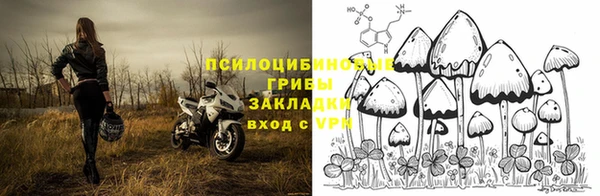 прущие грибы Бугульма